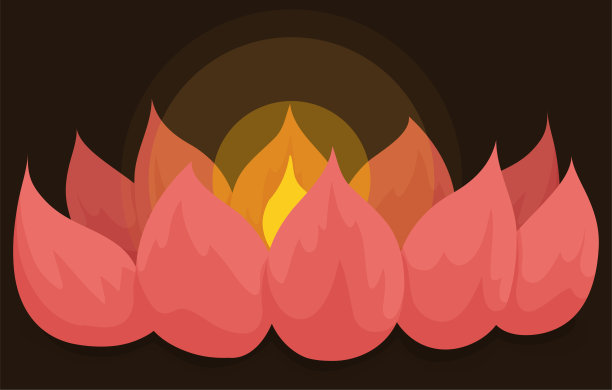 夜景用荷花灯笼照亮图片下载