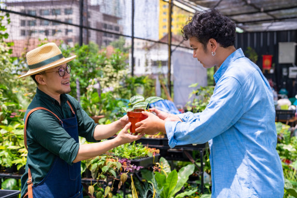 亚洲男人植物店店主描述顾客在店里挑选盆栽图片下载