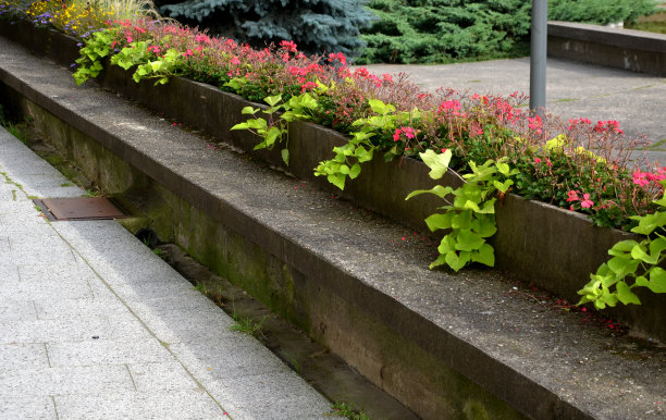 在俯瞰公园的高架露台边缘，有一个混凝土长花盆和混凝土长凳。是城市柱廊的一部分。鲜花盛开,图片下载