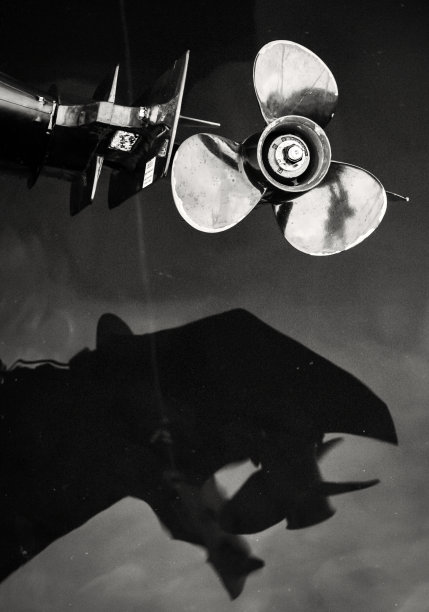 摘要高速艇螺旋桨的垂直图像及其在水中的倒影，黑山的佩拉斯特。图片下载