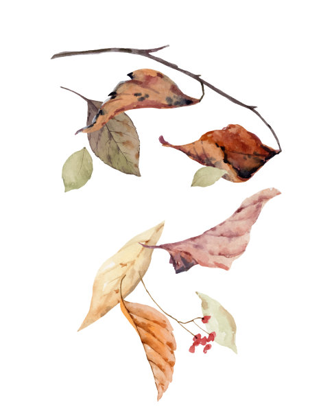 水彩画卡与落叶和图片下载