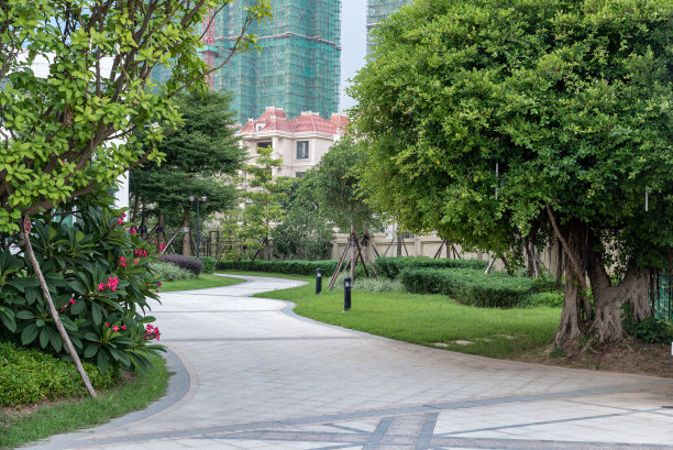 别墅区的道路图片下载