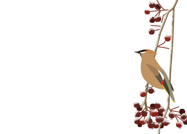 波西米亚连雀图片下载