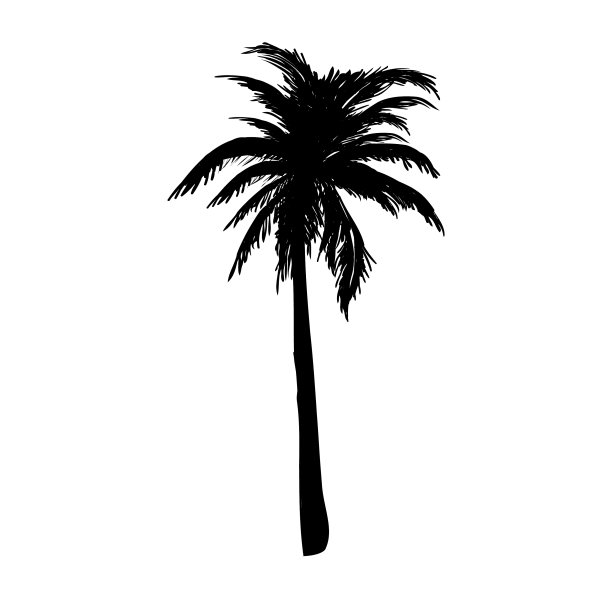 椰子树的剪影，棕榈树的夏季标志图片下载