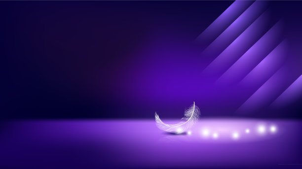 鸟羽毛和轻型横幅复制空间图片下载