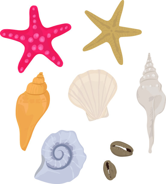 卡通7海贝壳集图片下载