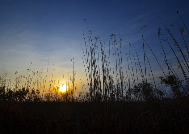 Currituck Marsh的日落图片下载