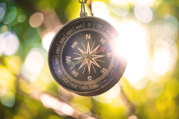 森林中的指南针，近景照片图片下载