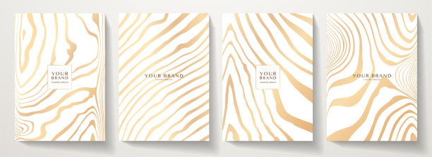 现代优雅的封面设计集。奢华时尚的背景搭配金色线条图案图片下载