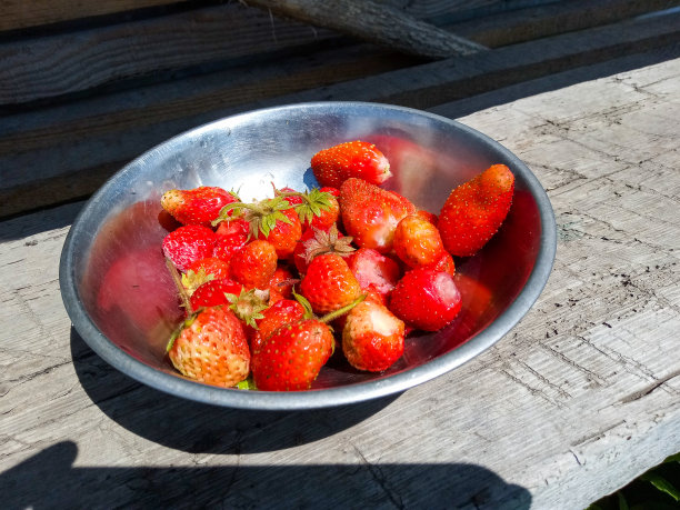 新鲜的草莓放在不锈钢碗里图片下载