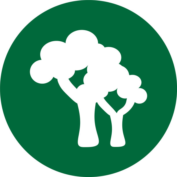 龙树图标在白色的背景图片下载