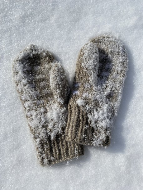 温暖的针织手套在雪地里。图片下载