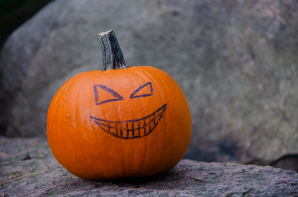 森林里的一块石头上躺着一个画着脸的南瓜。万圣节的节日的概念图片下载
