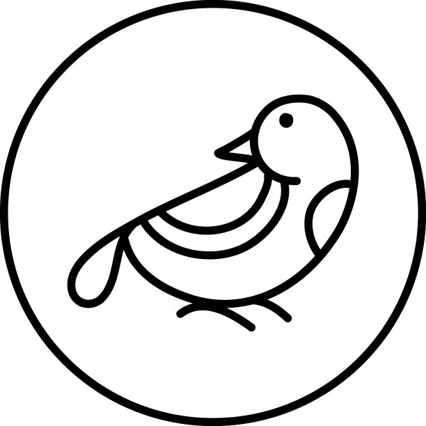 白色背景上的小海雀鸟图片下载