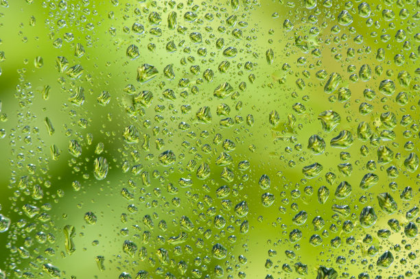 水滴在绿树背景的玻璃窗上。图片下载