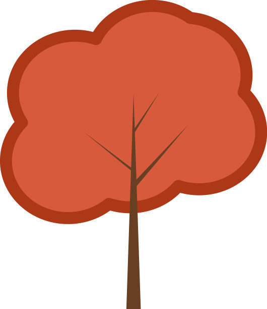 白色背景下的巴西坚果树图片下载