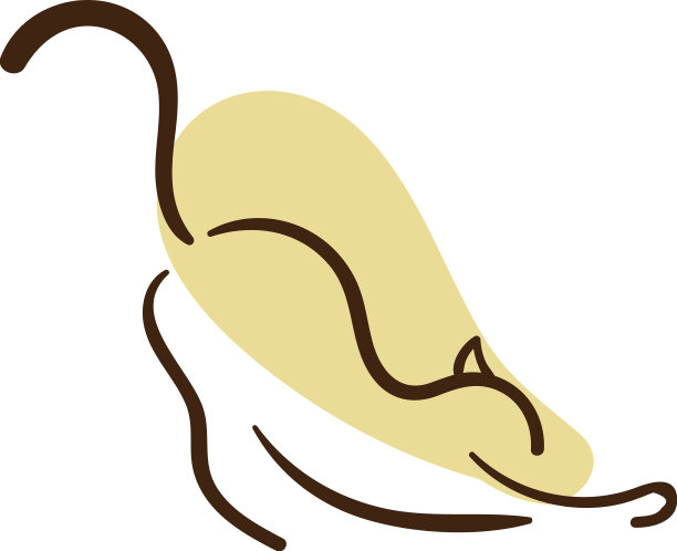 白底上顽皮的黄猫图片下载