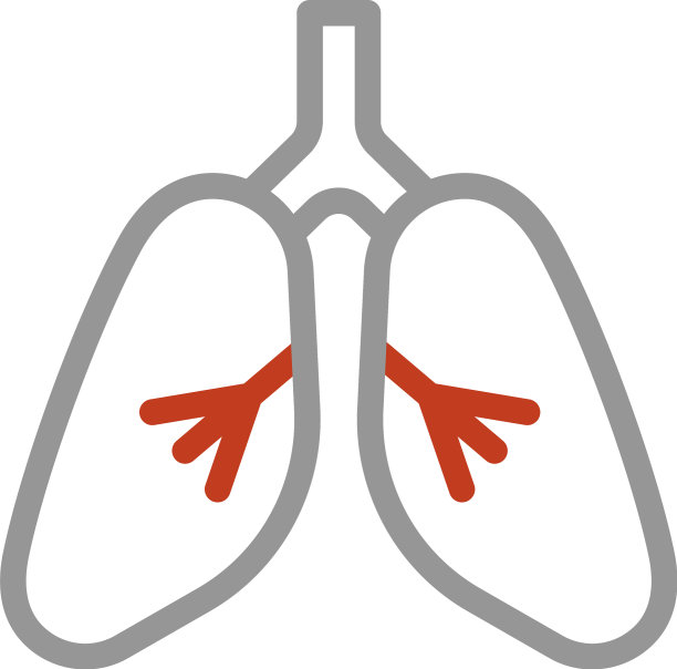感染的肺在白色背景上图片下载