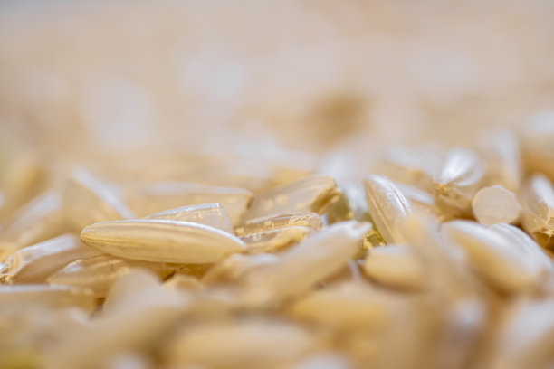 天然大米特写镜头图片下载