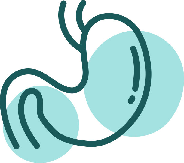 白色背景下的蓝色胃图片下载