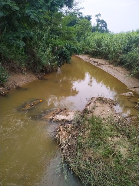 美丽的河水自然流淌在河里图片下载
