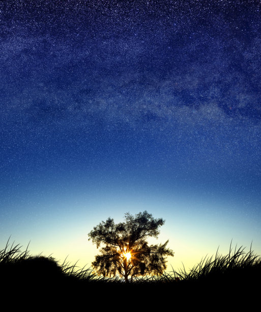 戏剧性的景观与单一的树在日落和星系的星星图片下载