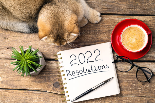 2022年新年计划已经准备就绪。2022决议与笔记本，可爱的猫，咖啡杯，眼镜，多汁的木制背景。目标，计划，策略，清单，舒适的家图片下载