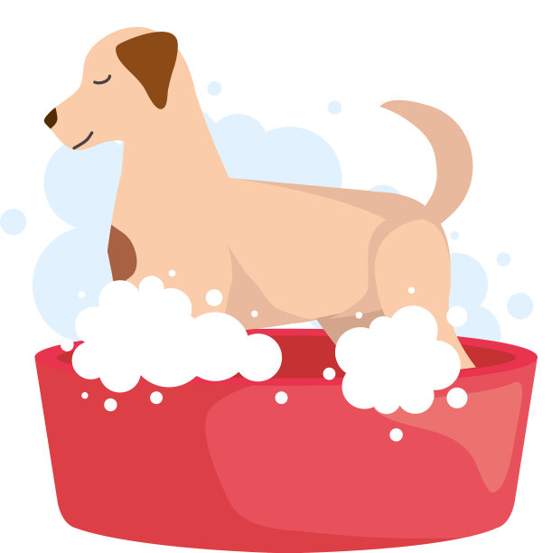 狗在淋浴图片下载