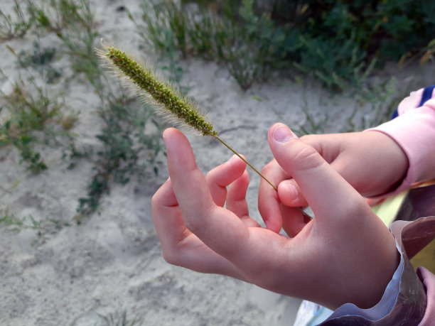 婴儿的手图片下载