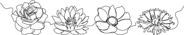 花一线集艺术连续线画图片下载
