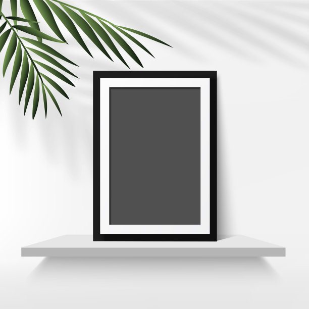 黑色相框，白色棕榈叶图片下载