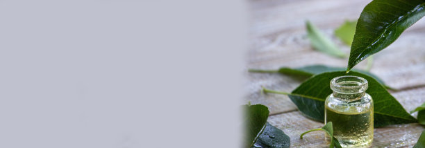 小瓶草药精油图片下载