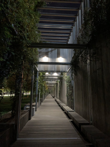 一路走到深夜图片下载