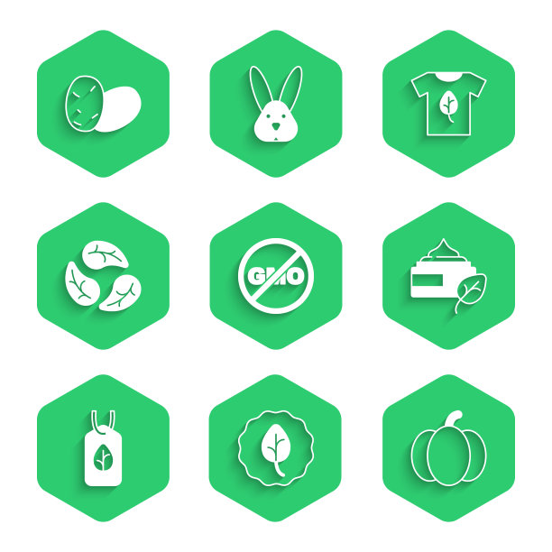 不设置转基因叶子或叶子的南瓜有机图片下载