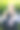美丽的白人女子吃沙拉在绿色的自然背景图片下载