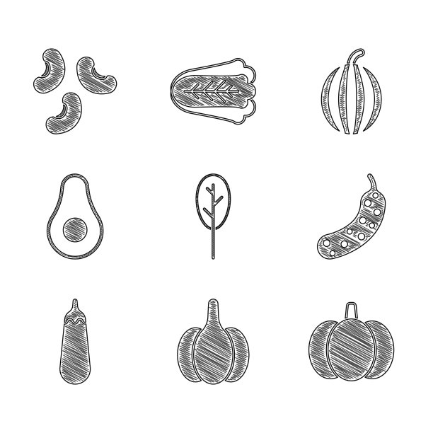 菠菜、大蒜、南瓜、新鲜黄瓜图片下载