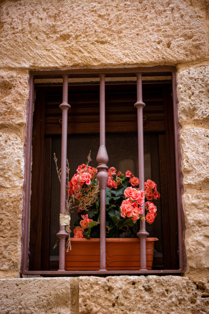 西班牙马德里，装饰着红玫瑰的窗户。图片下载