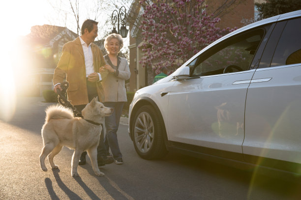 老年夫妇在户外遛狗图片下载