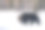 雪地里的棕熊图片下载