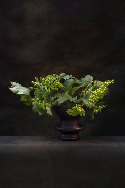 花瓶里放着绿色的荚蒾图片下载