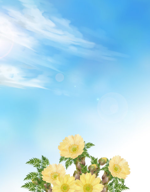 水彩画阿多尼斯在天空开花图片下载