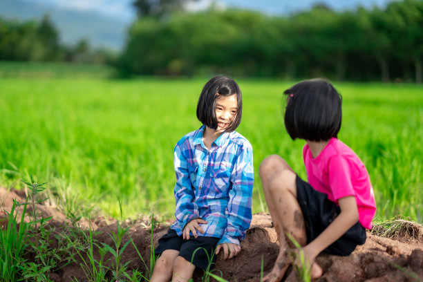 孩子们在农村或乡村的有机稻田里玩耍图片下载