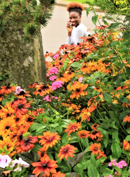 通过Fowerbed图片下载