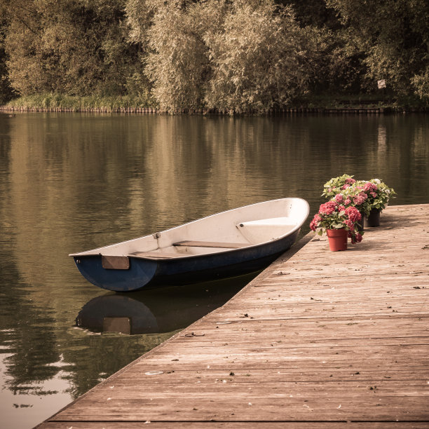 湖上的木码头上有小船，码头上有盆栽室内花卉图片下载