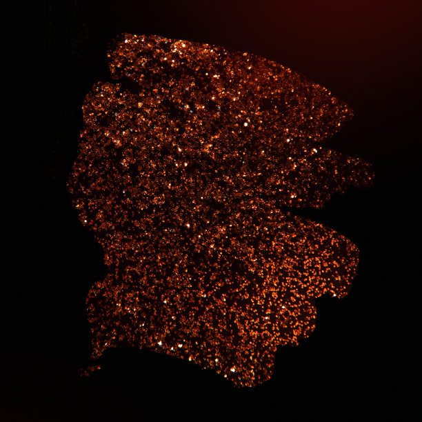 闪亮的背景图片下载