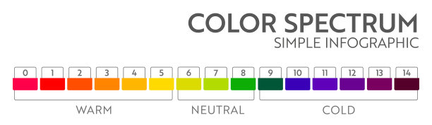 彩虹抽象商业信息图图片下载