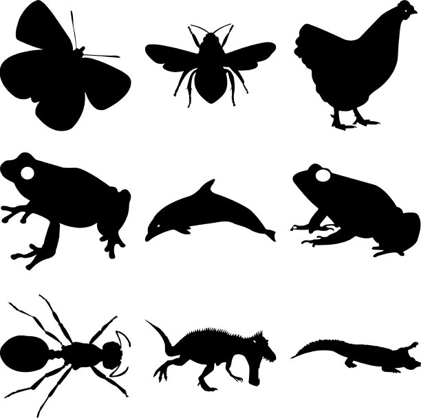 可爱的家动物剪影剪影集图片下载