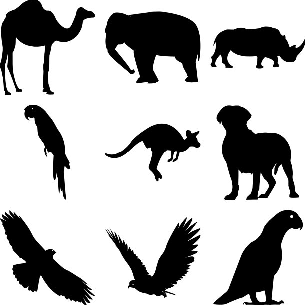 收集可爱的家养动物剪影图片下载