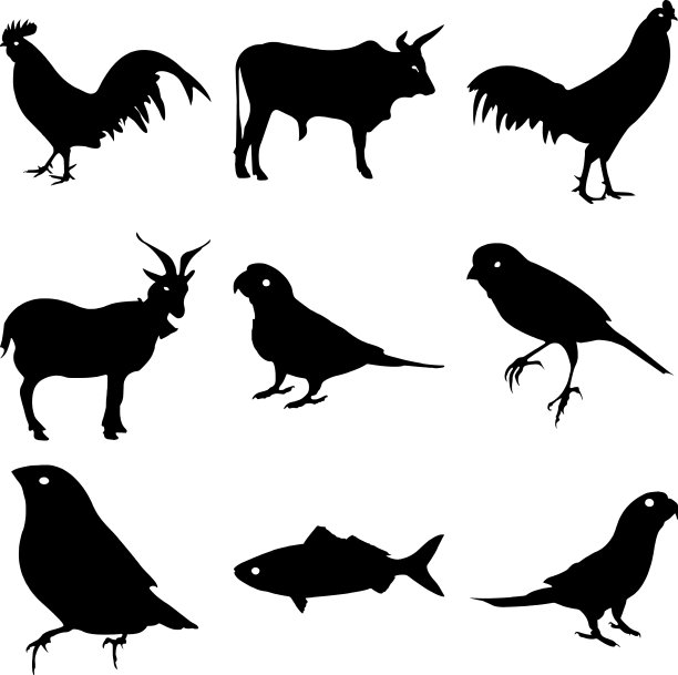 一组可爱的野生动物剪影图片下载