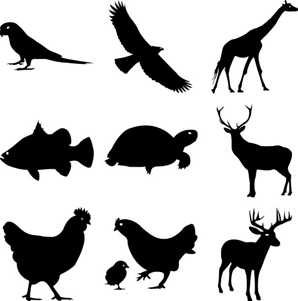 套丛林动物剪影剪贴画图片下载